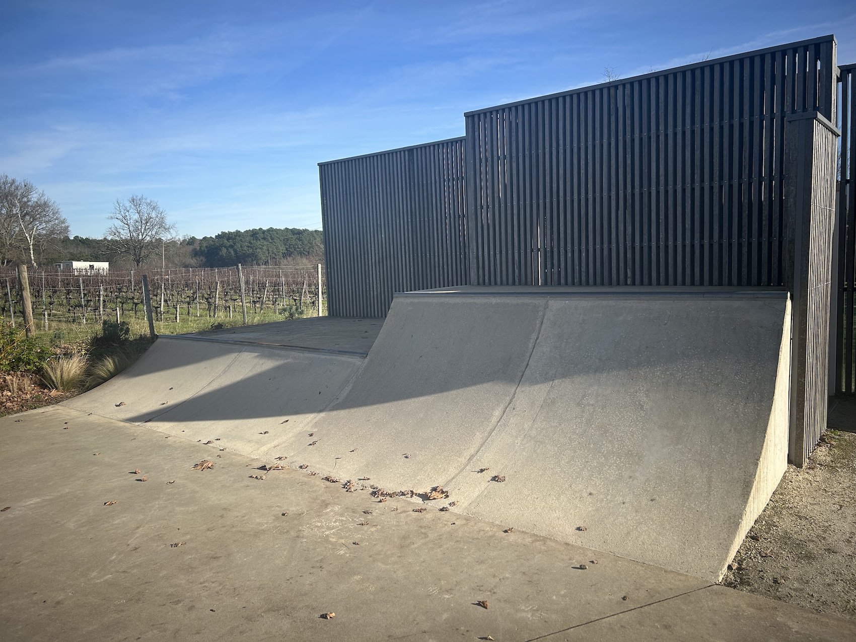 Lapouyade skatepark